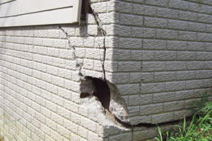 Del Home Improvement Images