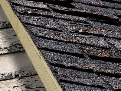 Del Home Improvement Images