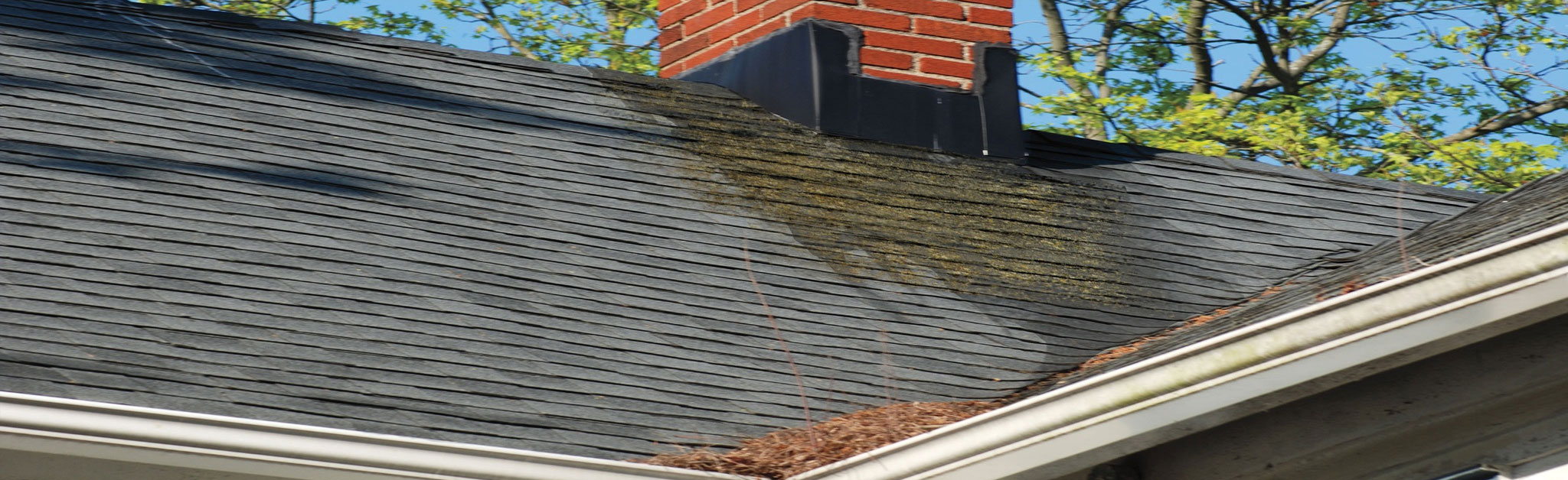 Del Home Improvement Images